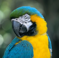 untitled image