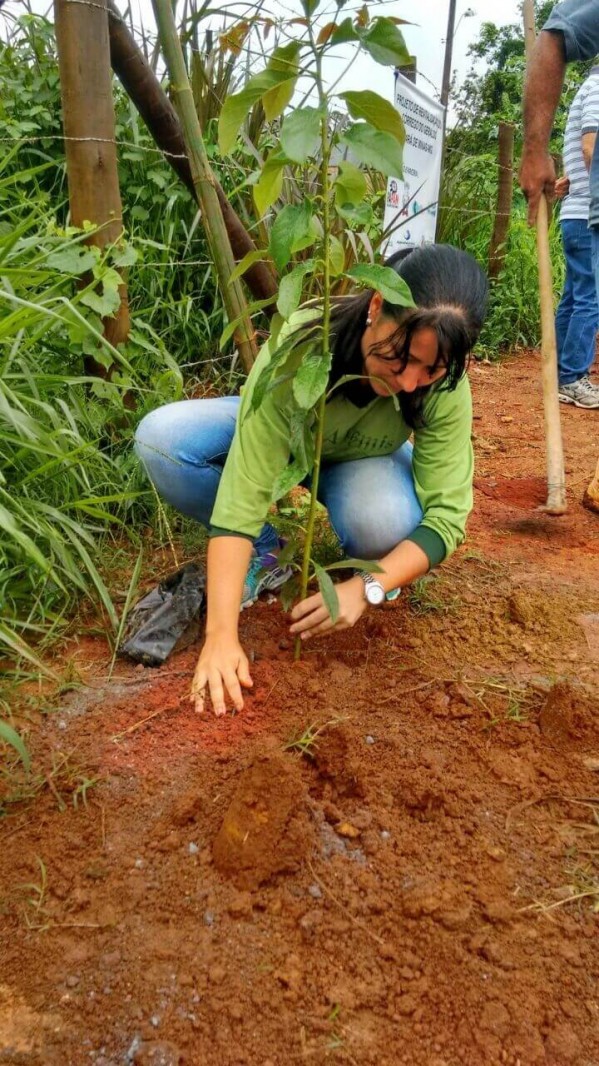 Projetos