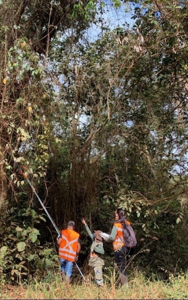 Regularização Ambiental