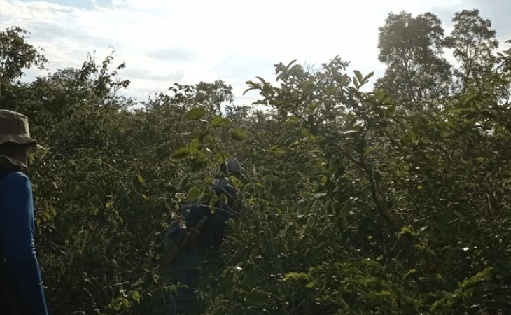 Você está preparado para o trabalho de campo?