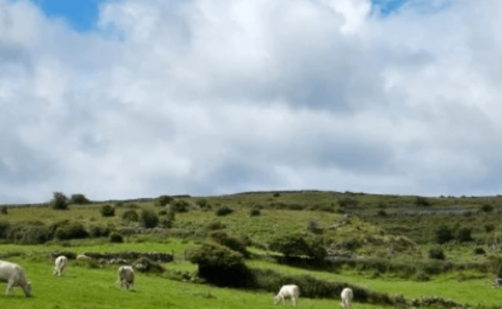 A Conservação Ambiental e a Tragédia dos Comuns