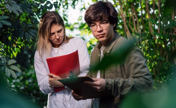 Consultoria ambiental no Brasil: importância e desafios