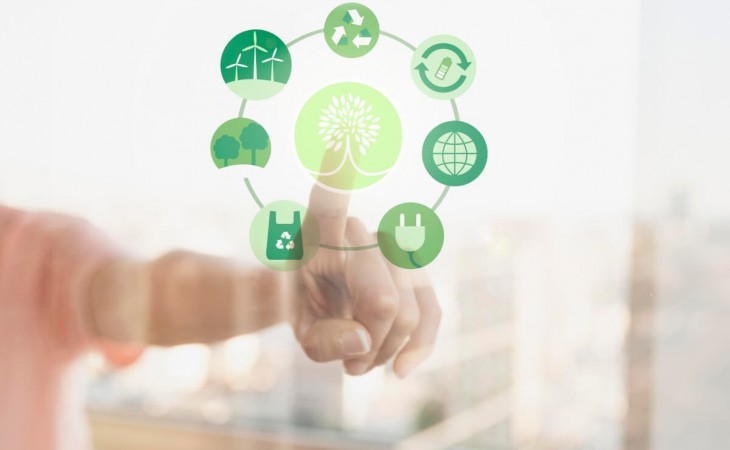 Consultoria Ambiental para Certificação: Regularização e Reconhecimento