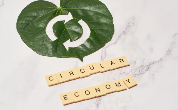 Apoio na Implementação de Práticas de Economia Circular para Empresas Ambientalmente Conscientes