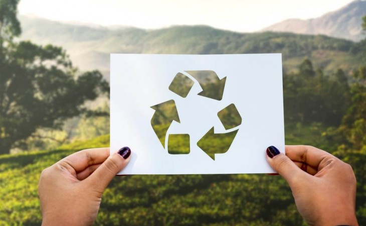 Passos para recuperação ambiental de áreas degradadas