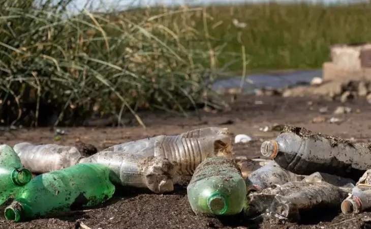 Dano Ambiental: Buscando Soluções Sustentáveis