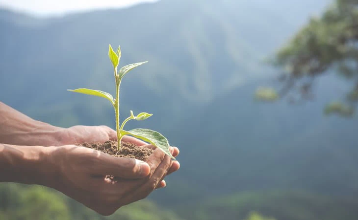 Compromisso com a Proteção Ambiental: unindo população e grandes empresas em um sentido comum