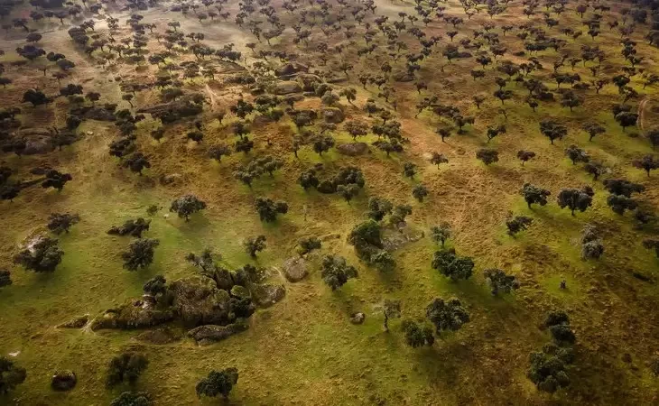 Metapopulações e a sustentabilidade do meio ambiente