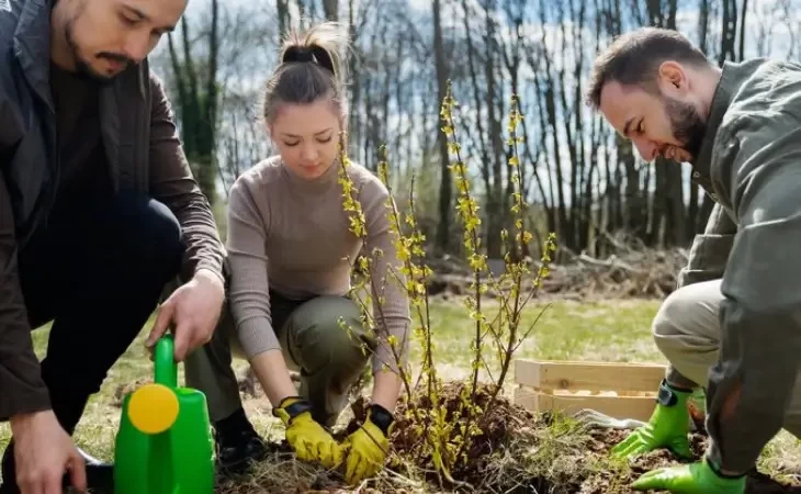 A recuperação de ecossistemas: como reparar o que foi danificado?
