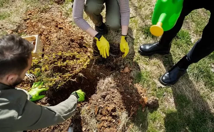 Projeto de Recuperação Ambiental: Passo a Passo para Restaurar a Natureza