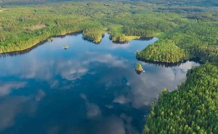A importância dos ecossistemas para a manutenção da vida e o impacto do aquecimento global