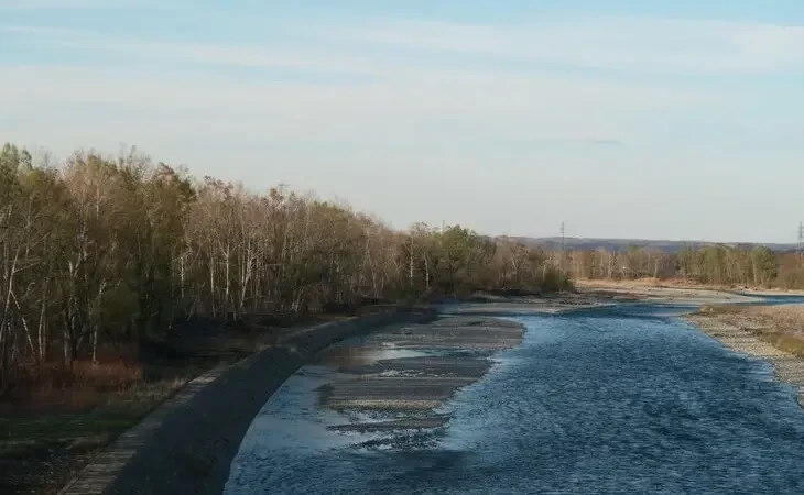 Fragmentação de habitats: O que é e como ela ameaça a biodiversidade global
