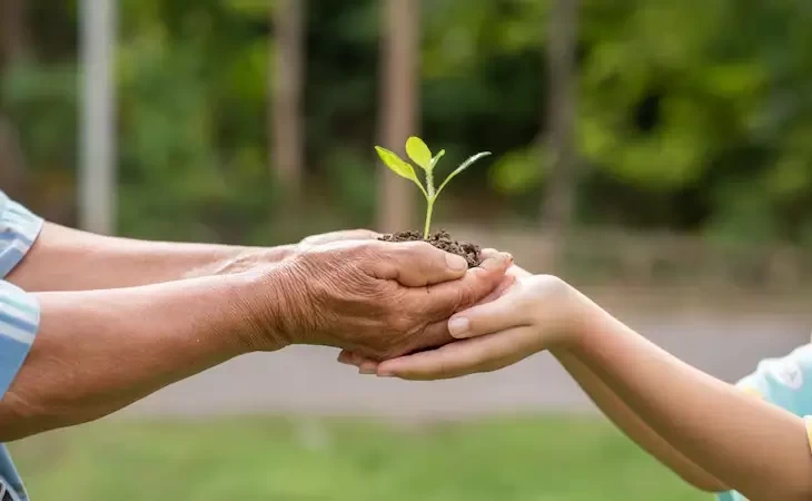 A importância do Estudo de Impacto Ambiental para um desenvolvimento sustentável