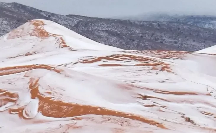 Neve no deserto e flores no ártico: o que estar por trás das mudanças climáticas?
