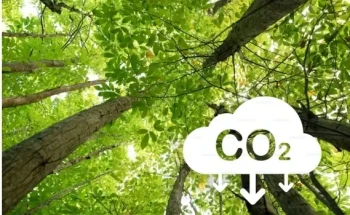 A agenda climática deixa de ser tendência e passa a ser exigência para as empresas