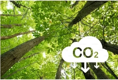 A agenda climática deixa de ser tendência e passa a ser exigência para as empresas